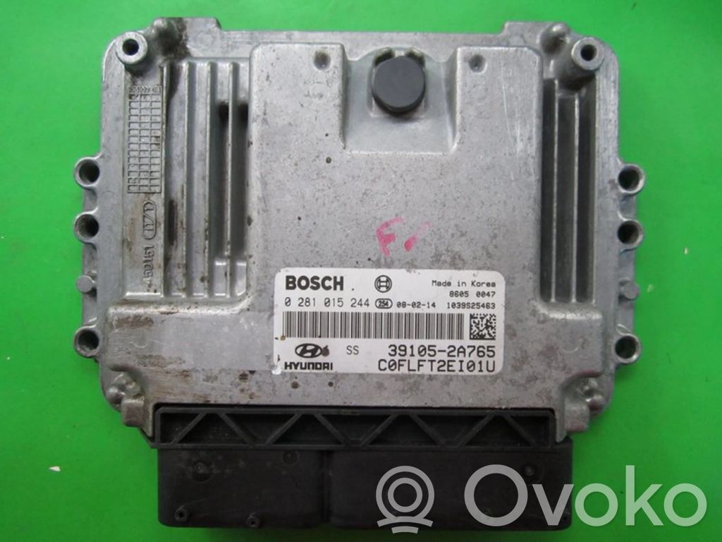 Engine control unit/module ECU   391052A765,0281015244