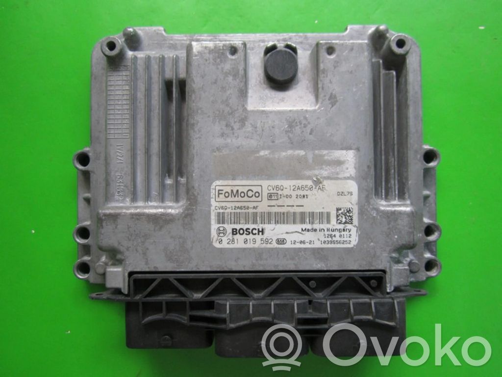 Engine control unit/module ECU   CV6Q12A650AF,0281019592