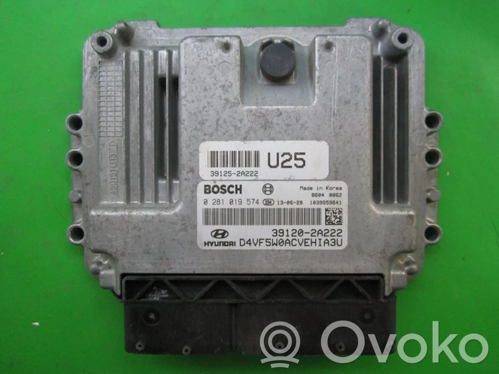 Engine control unit/module ECU   391202A222,0281019574