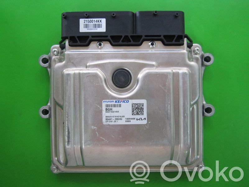 Engine control unit/module ECU   954412BGH0,9002150014KK