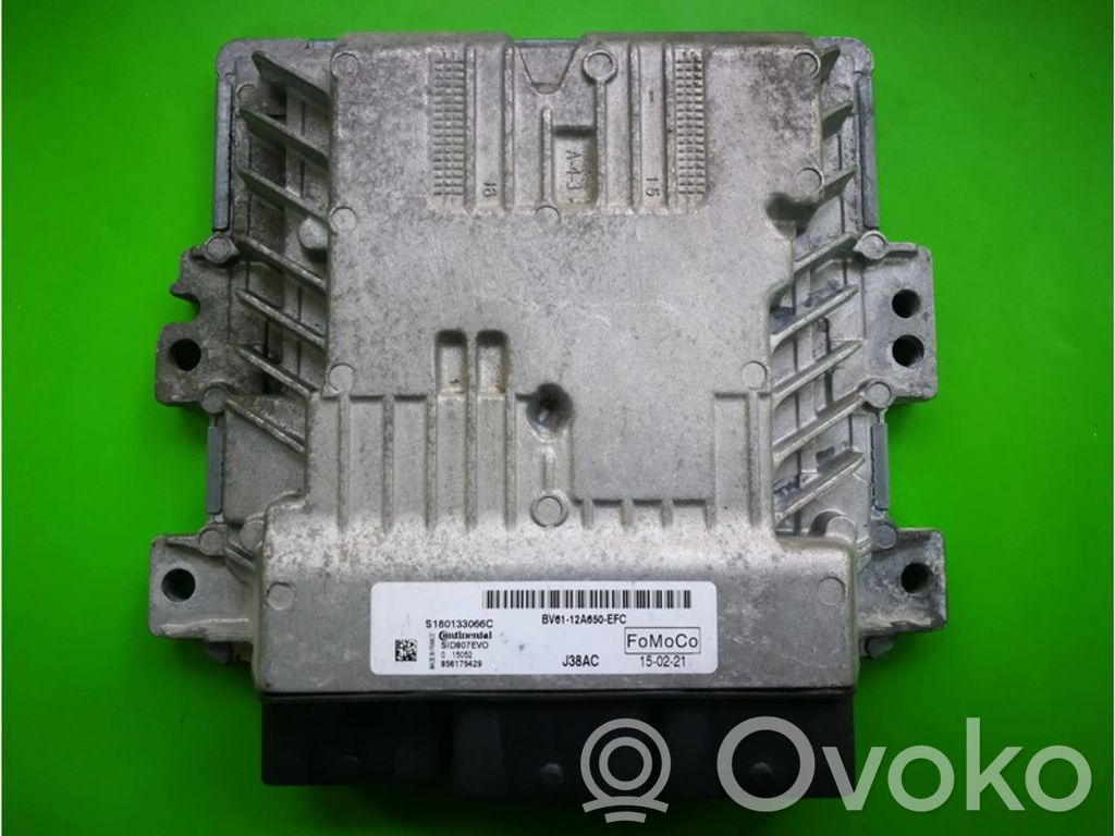 Ford Focus Engine control unit/module ECU 