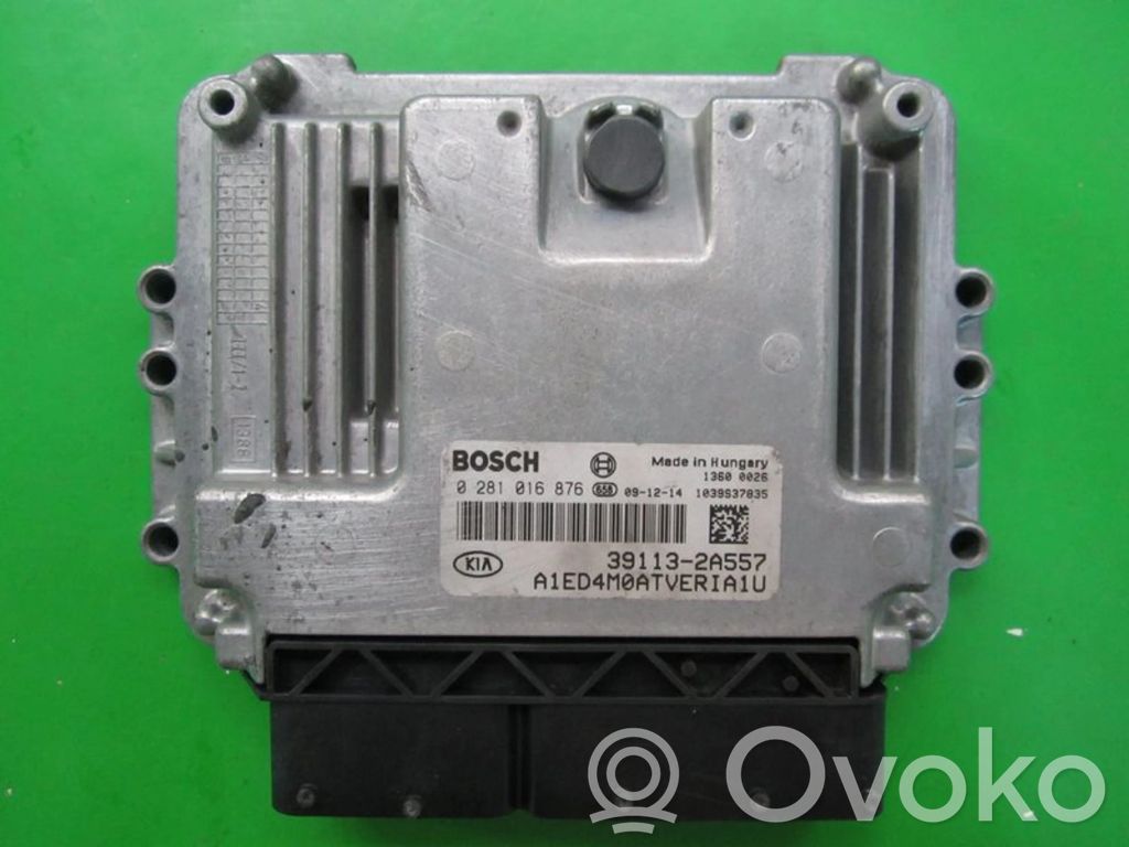 Engine control unit/module ECU   391132A557,0281016876