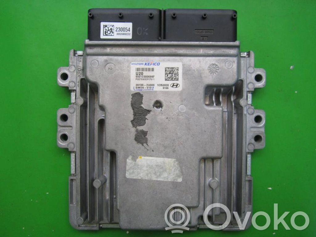 Engine control unit/module ECU   391992U000,9001230068KF