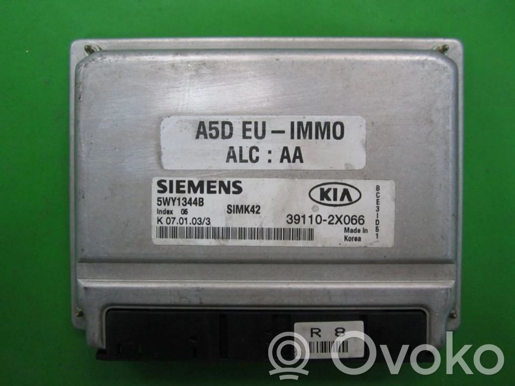 Engine control unit/module ECU   391102X066,5WY1344B