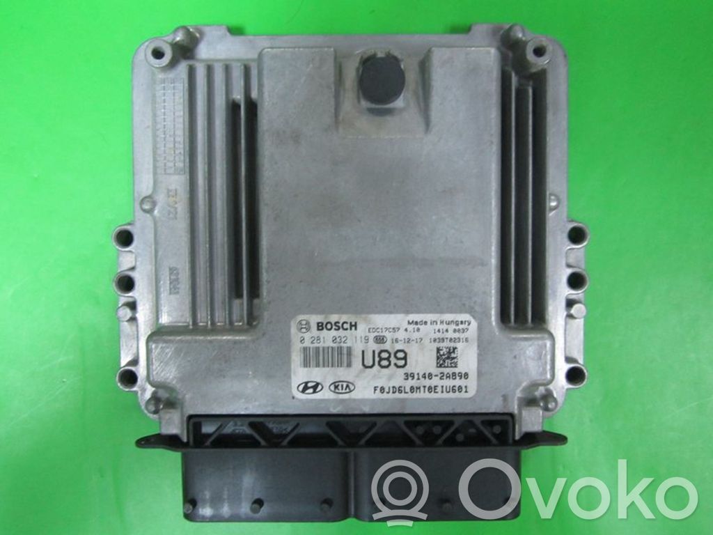 Engine control unit/module ECU   391402A890,0281032119