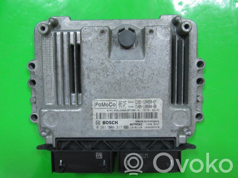 Engine control unit/module ECU   C1B112A650EF,0261S09317