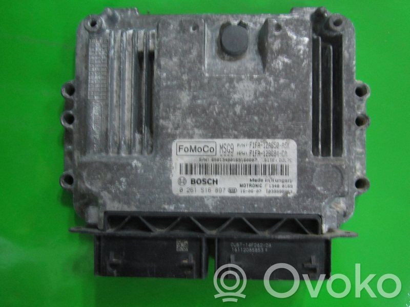 Unidad de control/módulo ECU del motor   F1FA12A650ASK,0261S16897