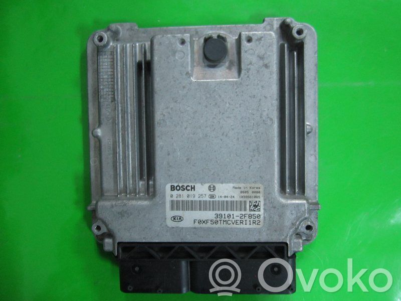 Engine control unit/module ECU   391012F850,0281019257