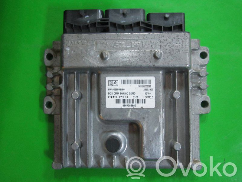 Engine control unit/module ECU   9667083880,28252909