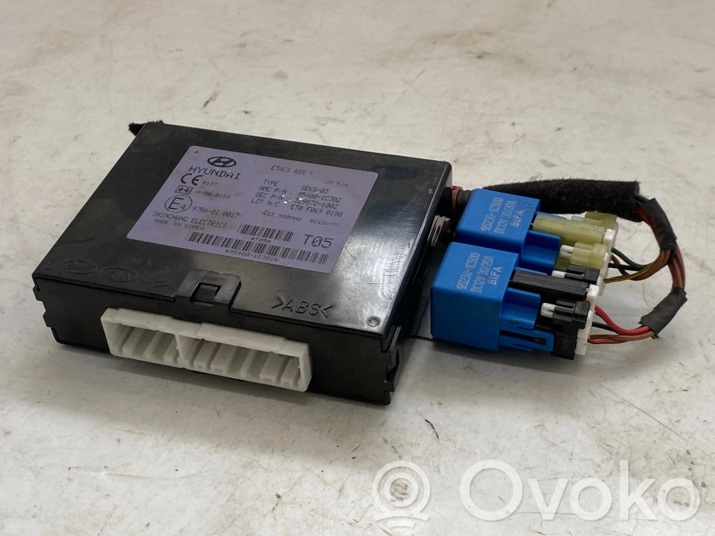 Hyundai Getz Other control units/modules 
