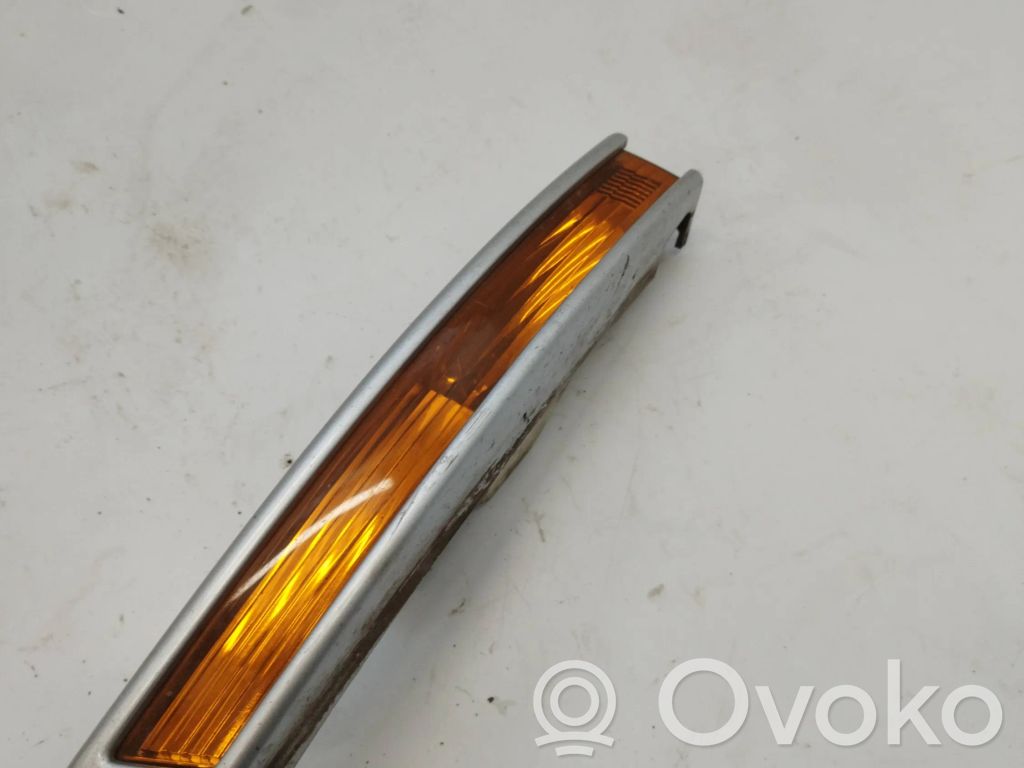 Volkswagen PASSAT B6 Front indicator light 