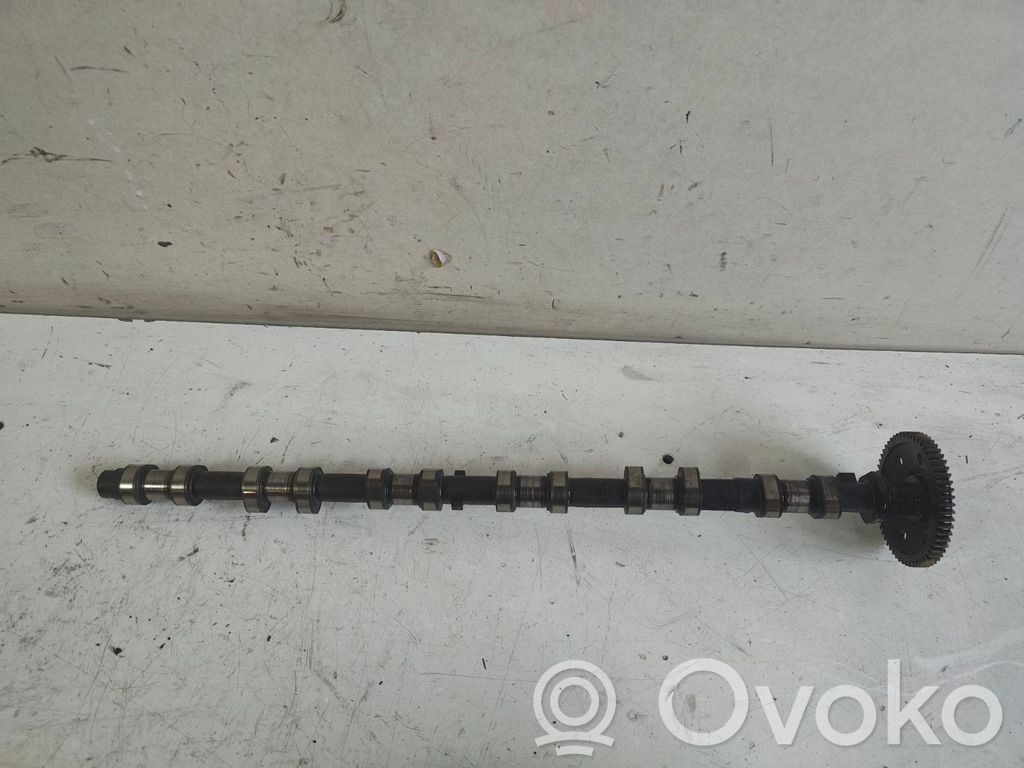 Sadales vārpsta   11317788741