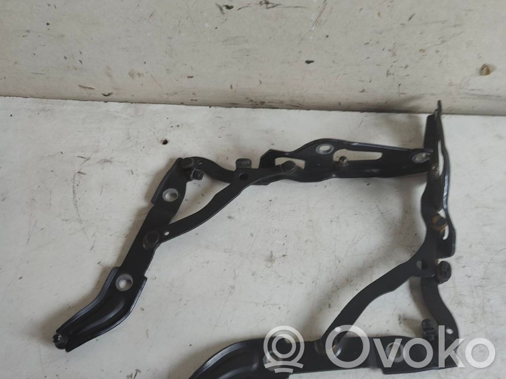 Tailgate/trunk/boot hinge   7060628