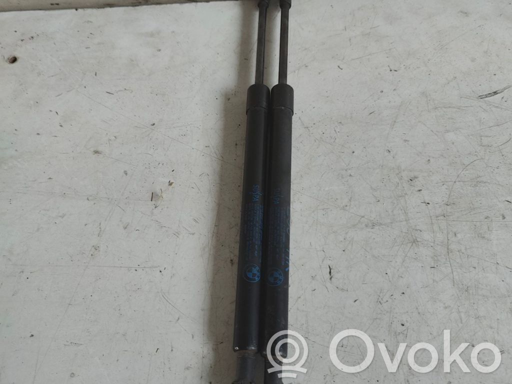 Tailgate/trunk strut/damper   51247060623