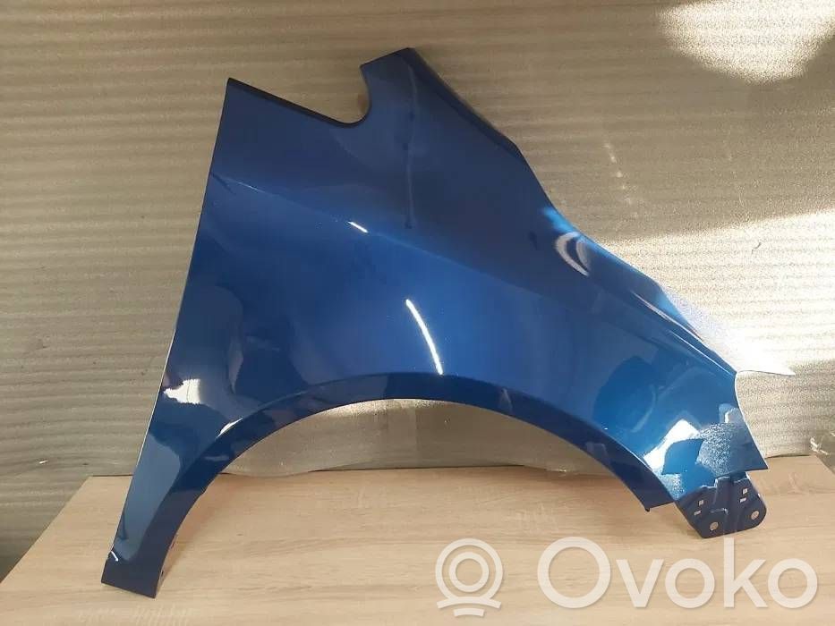 Guardabarro   LC5J,BLUE