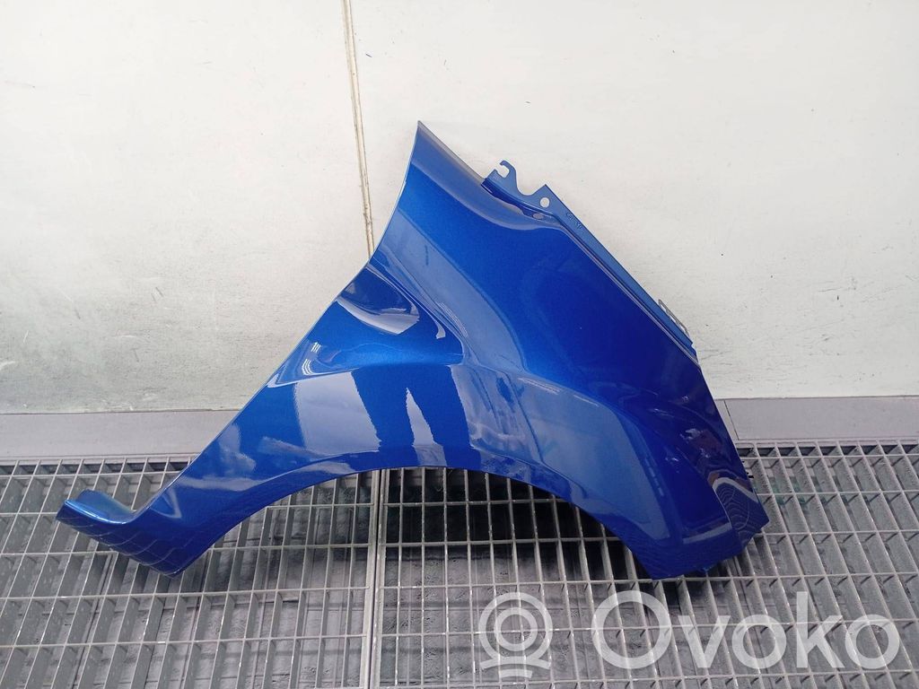 Guardabarro   BLUE