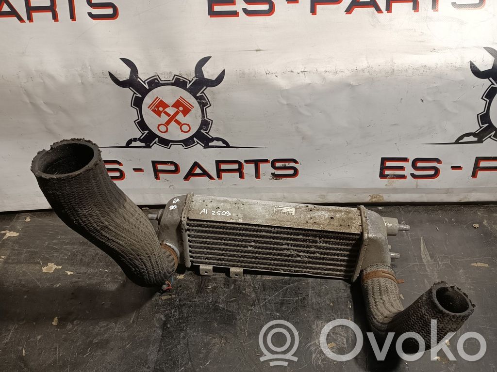 Intercooler radiator   2A610,28271