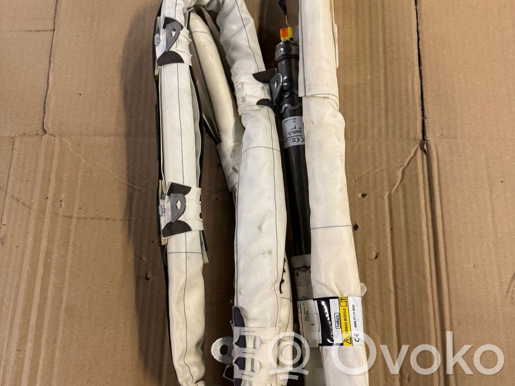 Airbag del techo   EM2BR042D94AR,R042D94