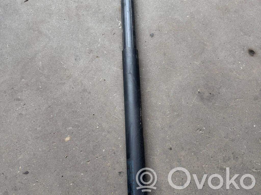 Tailgate strut   EM2BR402A74AC