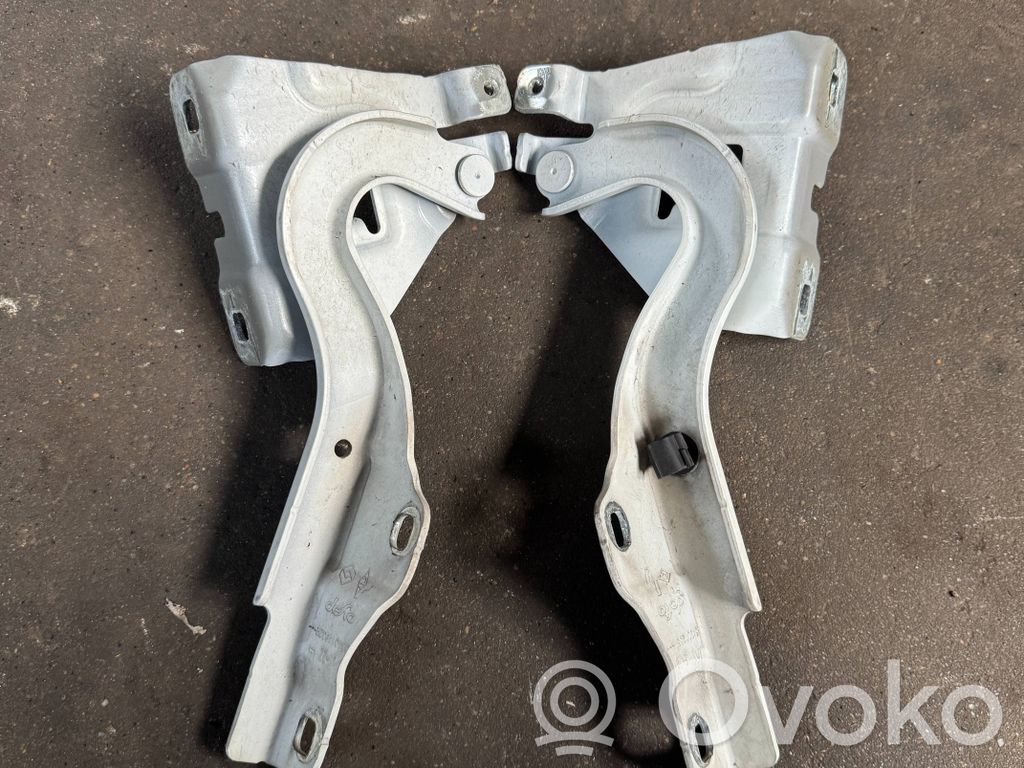 Renault Express Engine bonnet/hood hinges 