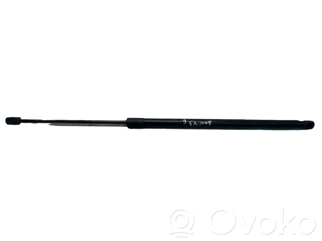 Tailgate strut   7211289