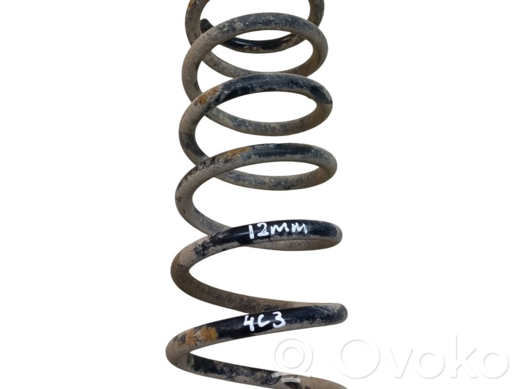 Rear coil spring