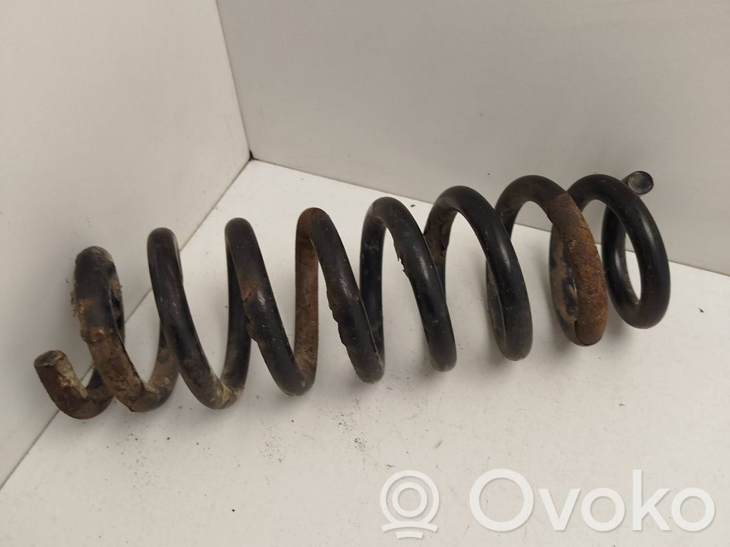 Rear coil spring