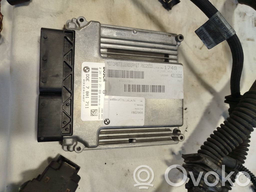 Moottorin ohjainlaite/moduuli   7790593
