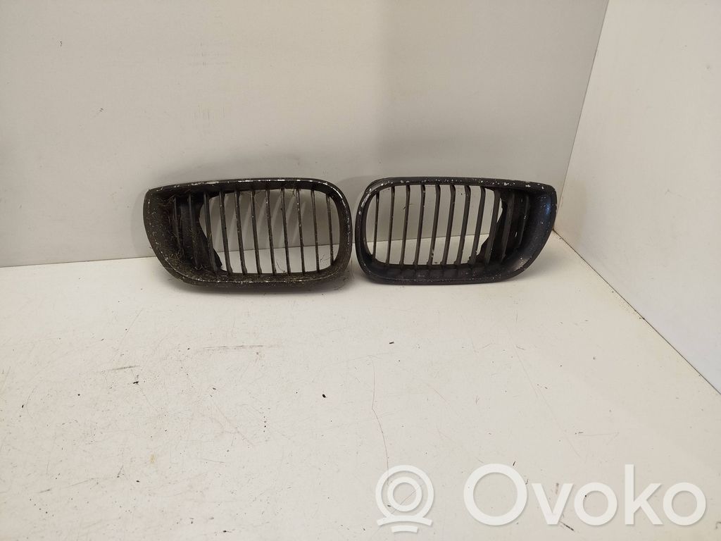 Front grill   51137072129