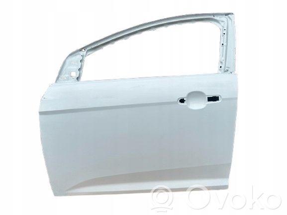 Ford Focus Front door 