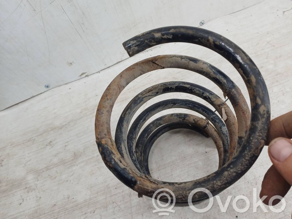 Rear coil spring