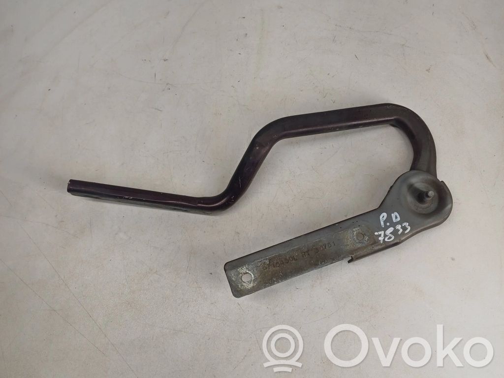 Chrysler Voyager Engine bonnet/hood hinges 