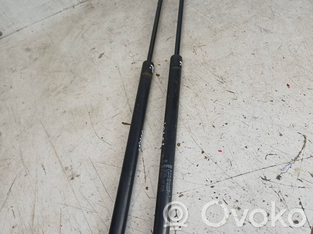 Siłownik maski przedniej   0261QQ0270N,7066566