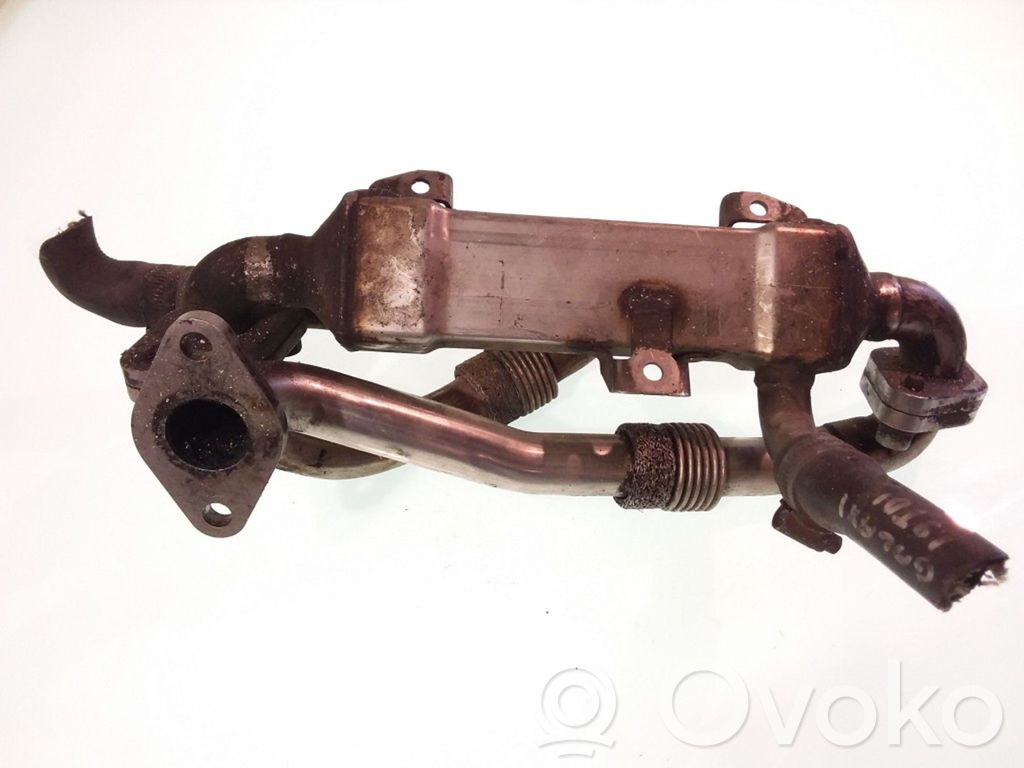 Volkswagen Sharan Chłodnica spalin EGR 