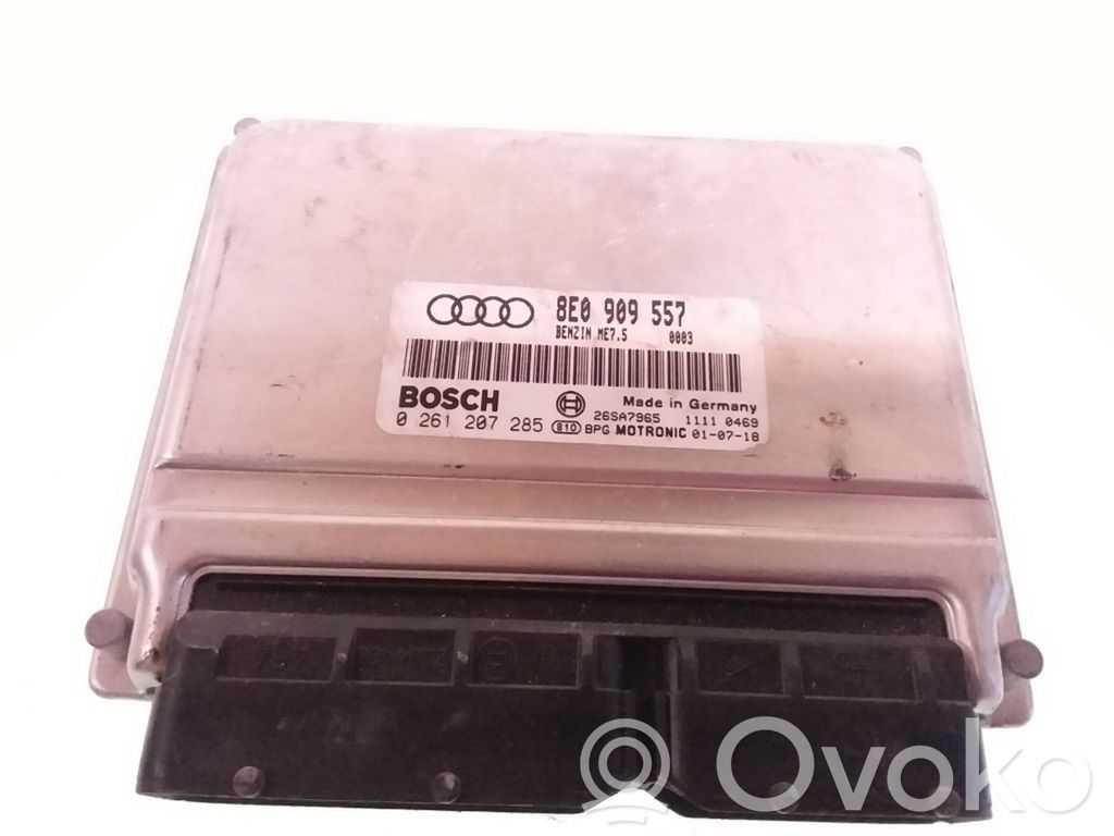 Audi A4 S4 B6 8E 8H Engine control unit/module 