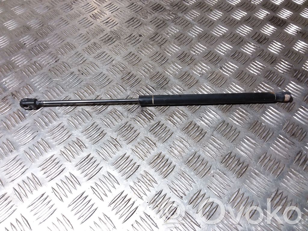 Dodge Caliber Tailgate/trunk strut/damper 