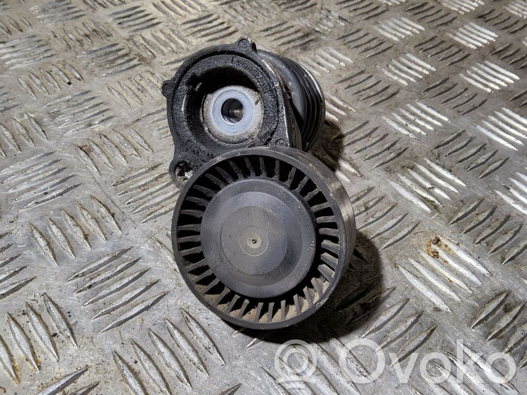Volkswagen Polo Napinacz paska alternatora 