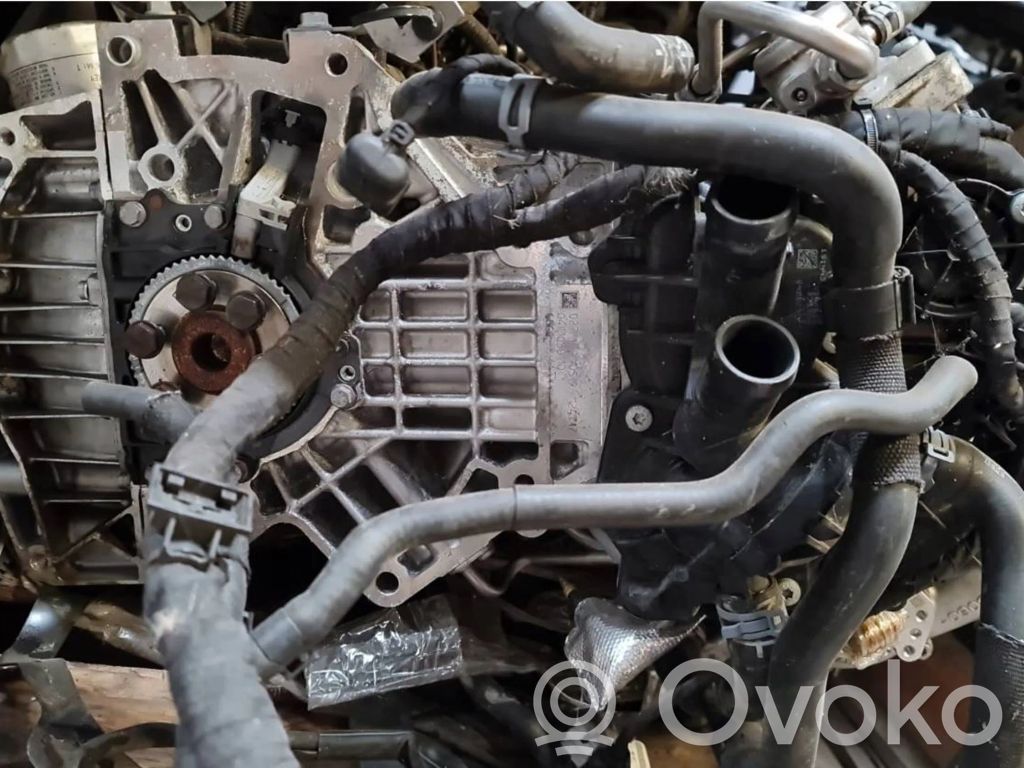 Motor   DKL369132