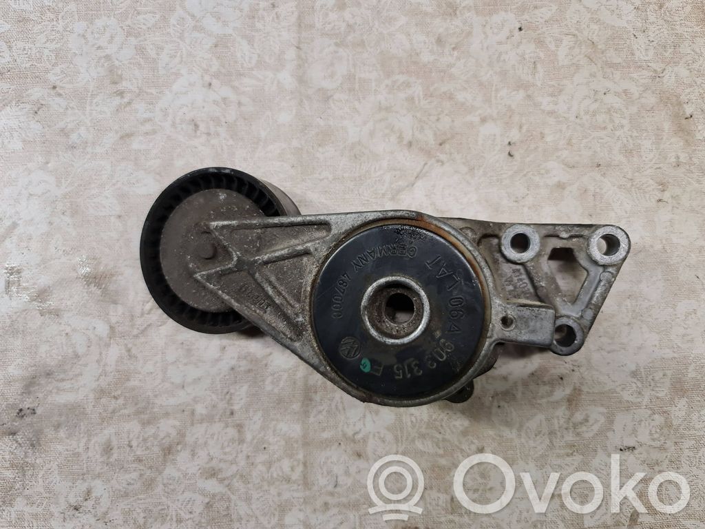 Volkswagen PASSAT B6 Napinacz paska alternatora 