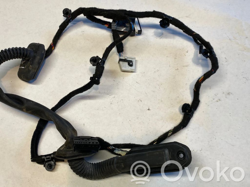BMW 7 E65 E66 Cableado de puerta trasera 