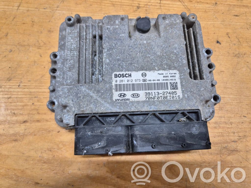 Hyundai Sonata Engine control unit/module 