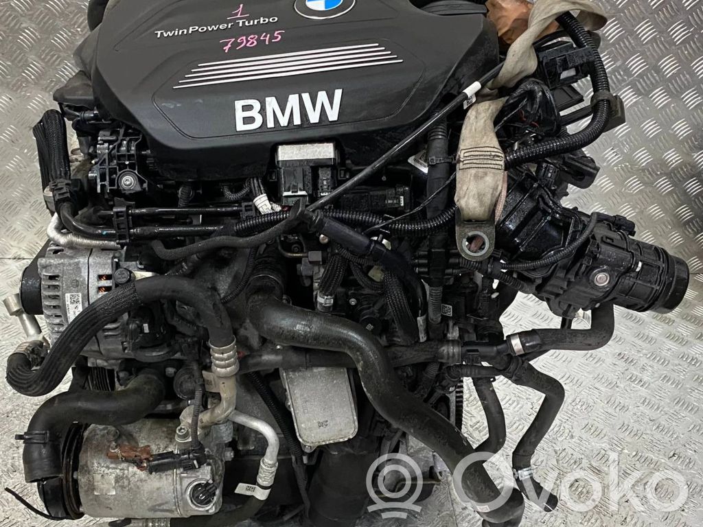 BMW X1 F48 F49 Variklis 