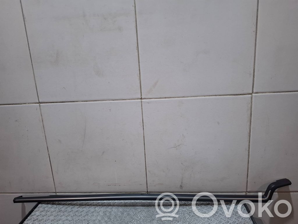 Moldura del panel (Usadas)   09618003