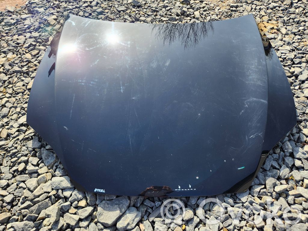 Motorhaube   TESLASSCZ