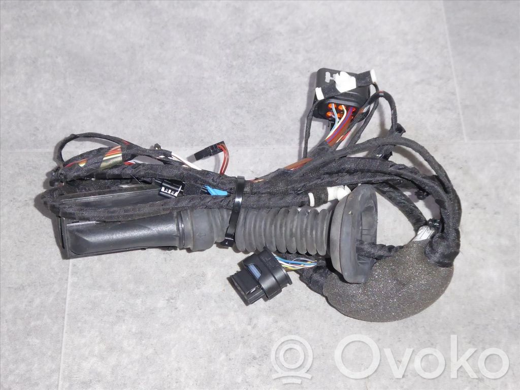 BMW X3 G01 Cableado de puerta trasera 