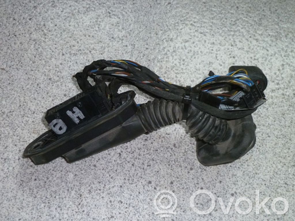 Cableado de puerta trasera   61126925945,61126925945