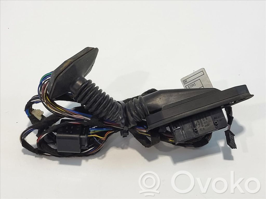 BMW X1 E84 Cableado de puerta trasera 