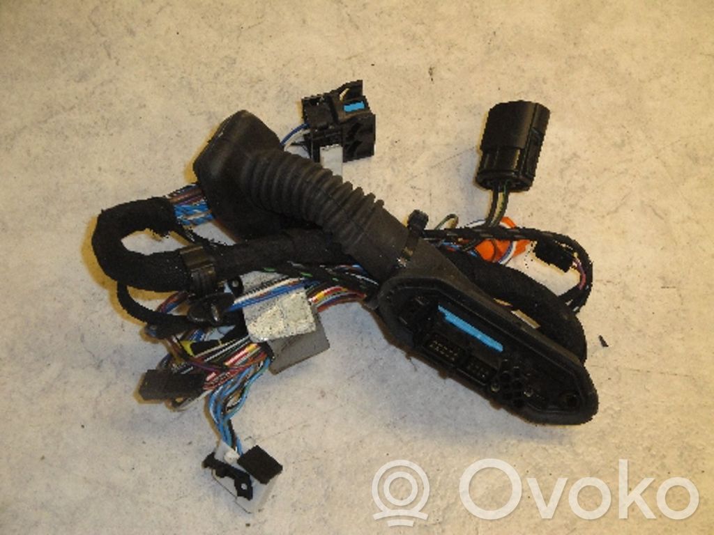 BMW 5 E39 Cableado de puerta delantera 