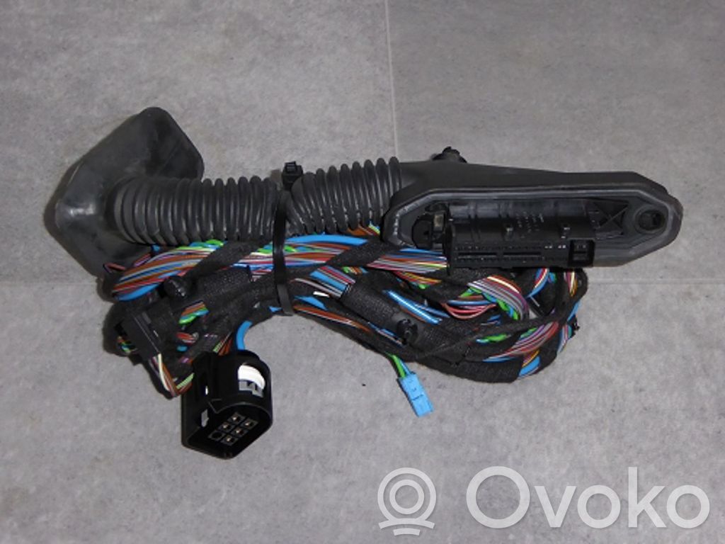 BMW X5 E70 Cableado de puerta trasera 