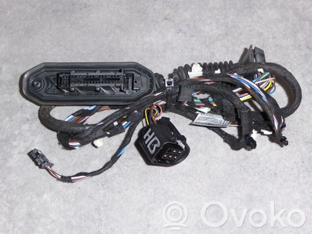 BMW X1 E84 Cableado de puerta trasera 